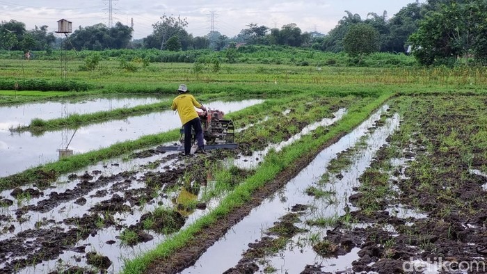KUA Diluncurkan! Bunga 3%, Jangan Waktu Pinjaman 5 Tahun