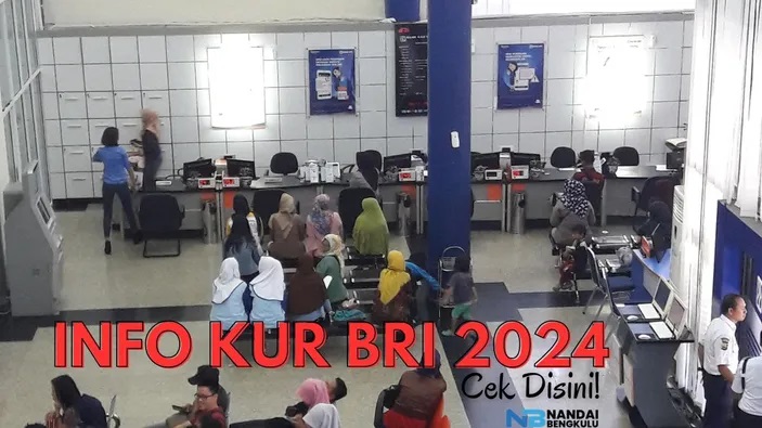 Pinjaman KUR BRI 2024 Ditolak Karena SIKP OJK? Ini Solusinya agar Pinjaman Bisa Cair